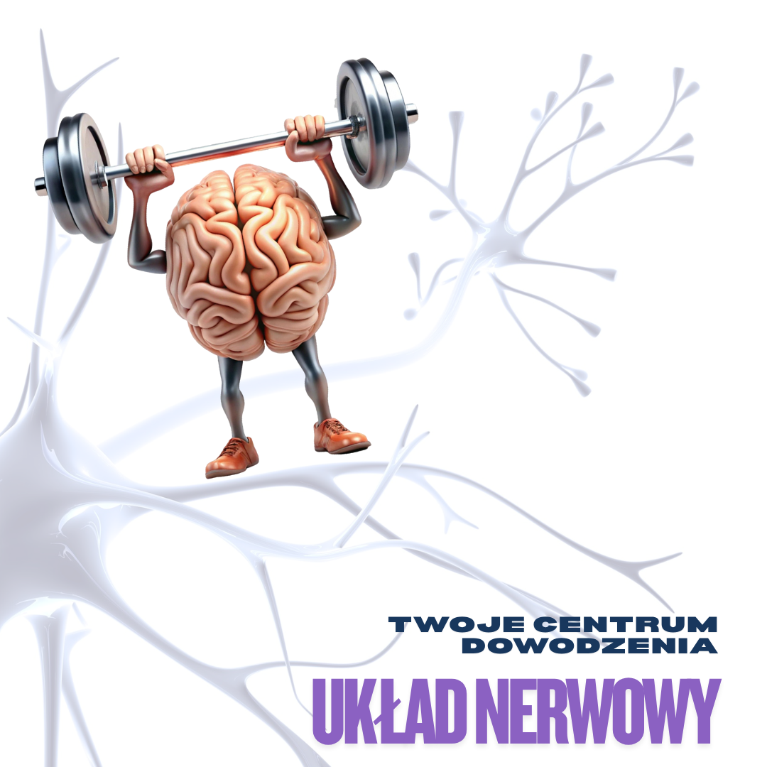 Animowany mózg z rękami i nogami w sportowych butach, trzymający nad głową sztangę. Mózg stoi na dużym, powiększonym neuronie, którego rozgałęzienia rozchodzą się w tle. Na grafice widoczny napis: „Twoje centrum dowodzenia – układ nerwowy.