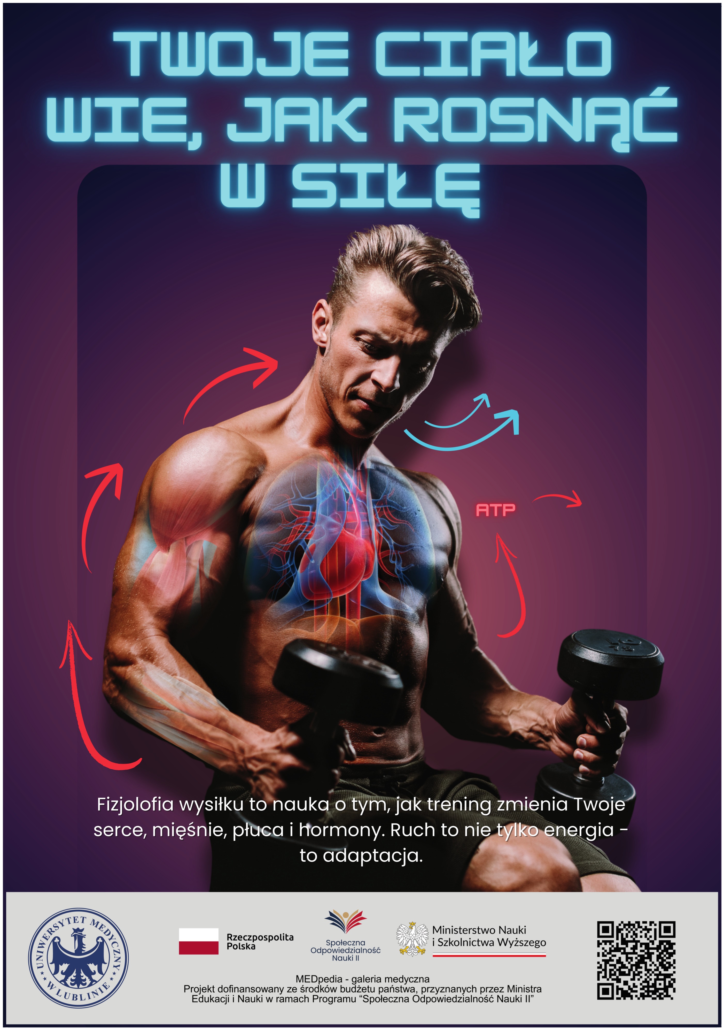 Mężczyzna trenujący z hantlami, z nałożonymi ilustracjami serca, płuc i mięśni. Nad nim napis: „Twoje ciało wie, jak rosnąć w siłę”. Strzałki symbolizujące krążenie i energię. Na dole tekst o fizjologii wysiłku: „Fizjologia wysiłku to nauka o tym, jak trening zmienia Twoje serce, mięśnie, płuca i hormony. Ruch to nie tylko energia - to adaptacja” oraz logotypy Uniwersytetu Medycznego w Lublinie i instytucji finansujących projekt. Obok logotypów znajduje się kod QR, który prowadzi do treści na portalu internetowym.